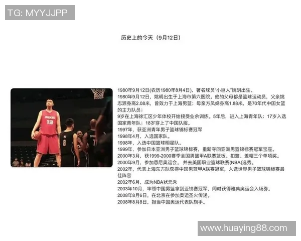 探索db篮球明星的传奇之路与赛场背后的故事与成就