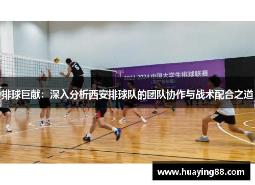 排球巨献：深入分析西安排球队的团队协作与战术配合之道