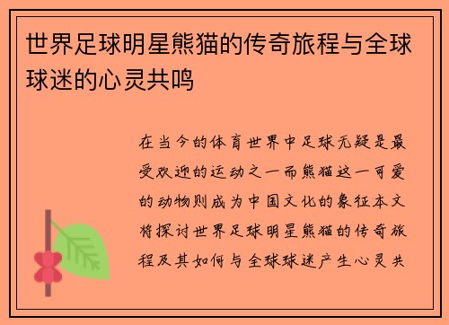 世界足球明星熊猫的传奇旅程与全球球迷的心灵共鸣